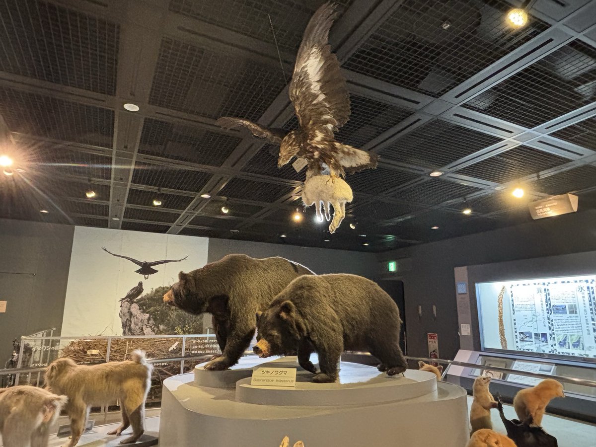 今日は兵庫県三田市ににある兵庫県立 人と自然の博物館に行って来まし
