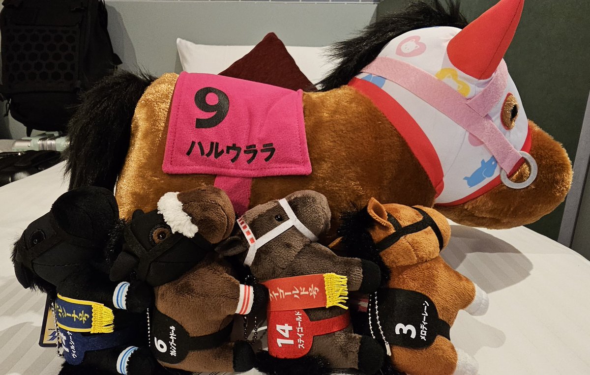 Yoitsu Velvet 🐴🎀✨️ tweet media