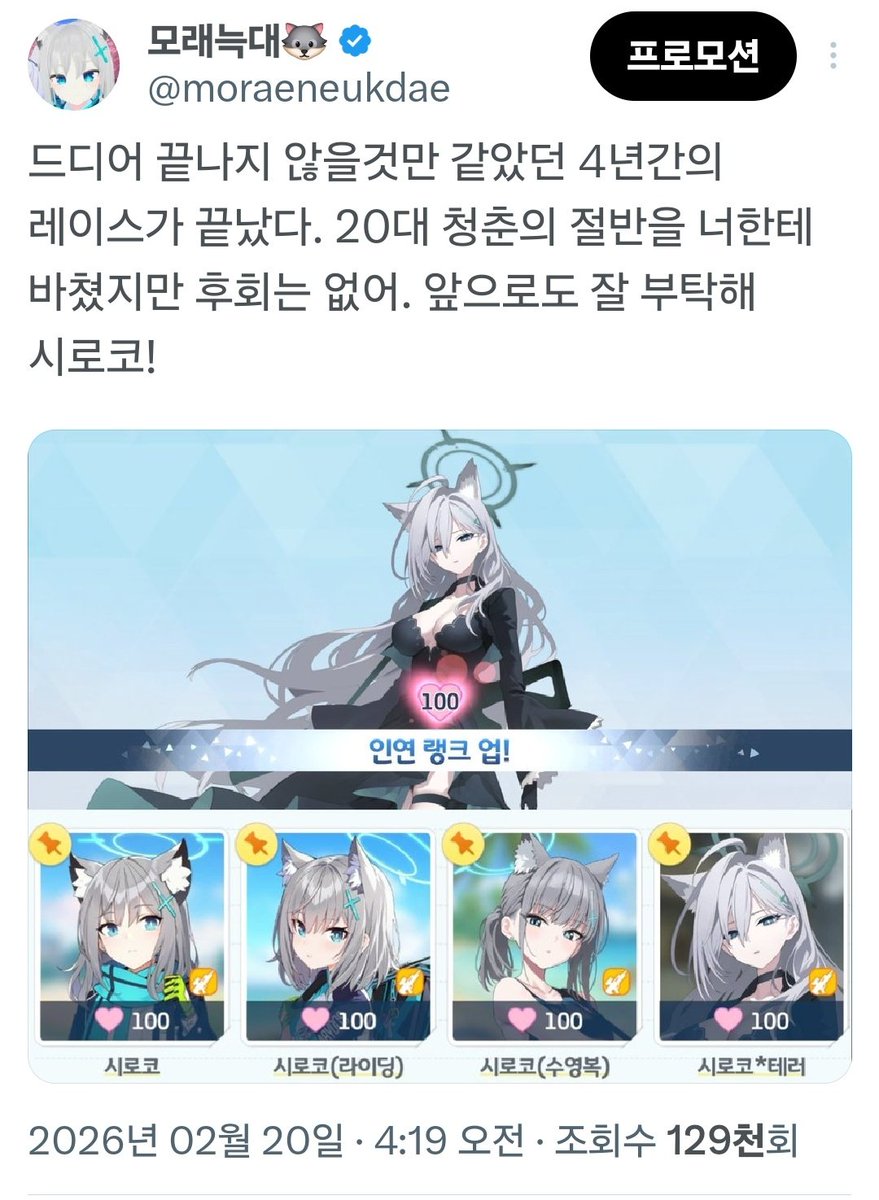 모래늑대🐺 tweet media