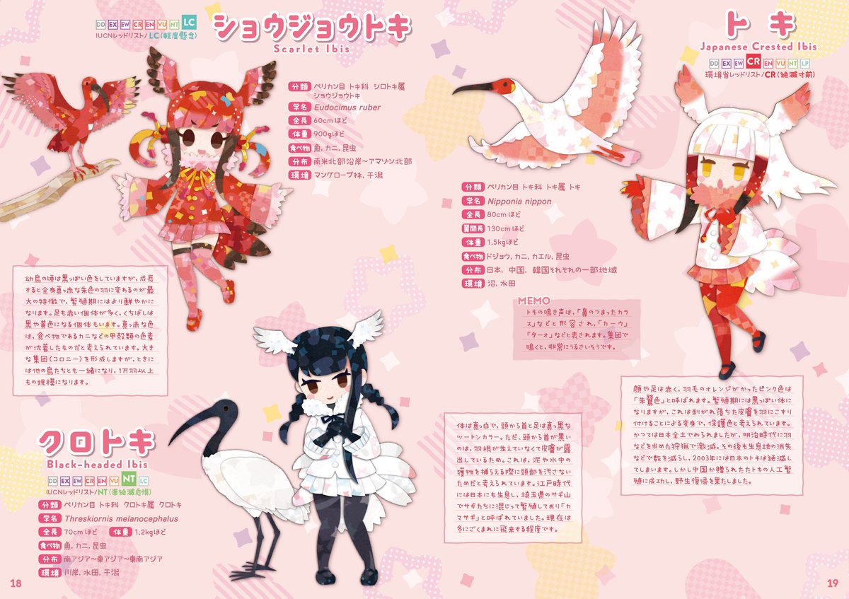 阿呆鳥様、専用ページ 阿呆鳥様、専用ページ