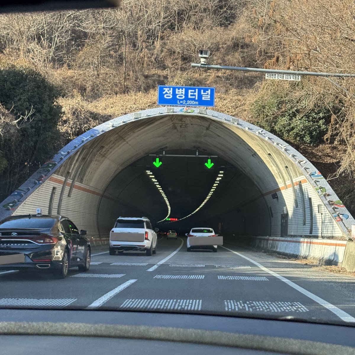 견과 tweet media