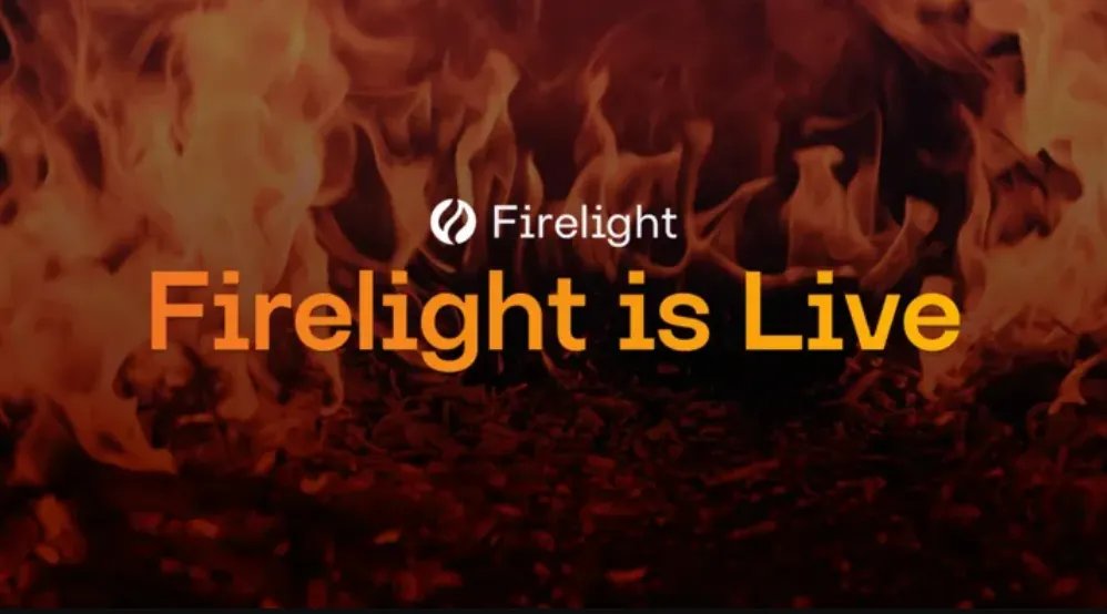 FireIight Foundation tweet media