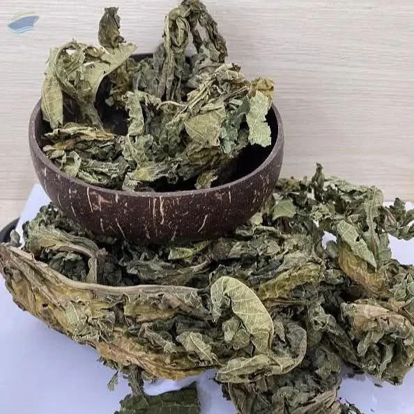 Ayurveda With Shyam tweet media