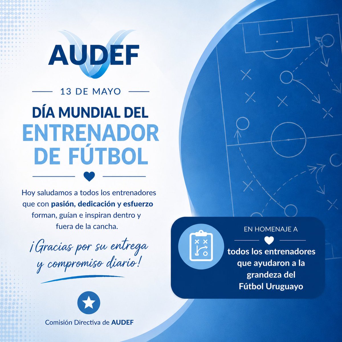 AudefOFICIAL tweet media