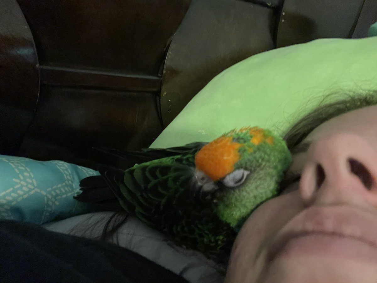 sleepykyju tweet media