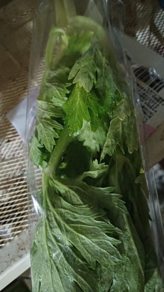 セロリ　　他の方は購入しないでください しかもセロリ50円で。。 。。。。元のほうだめになってましたよ 50