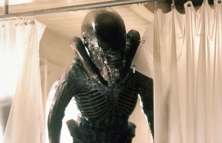 AvP Odyssey (☥𝐃𝐁) tweet media