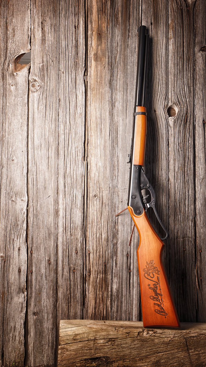 Daisy BB Guns tweet media