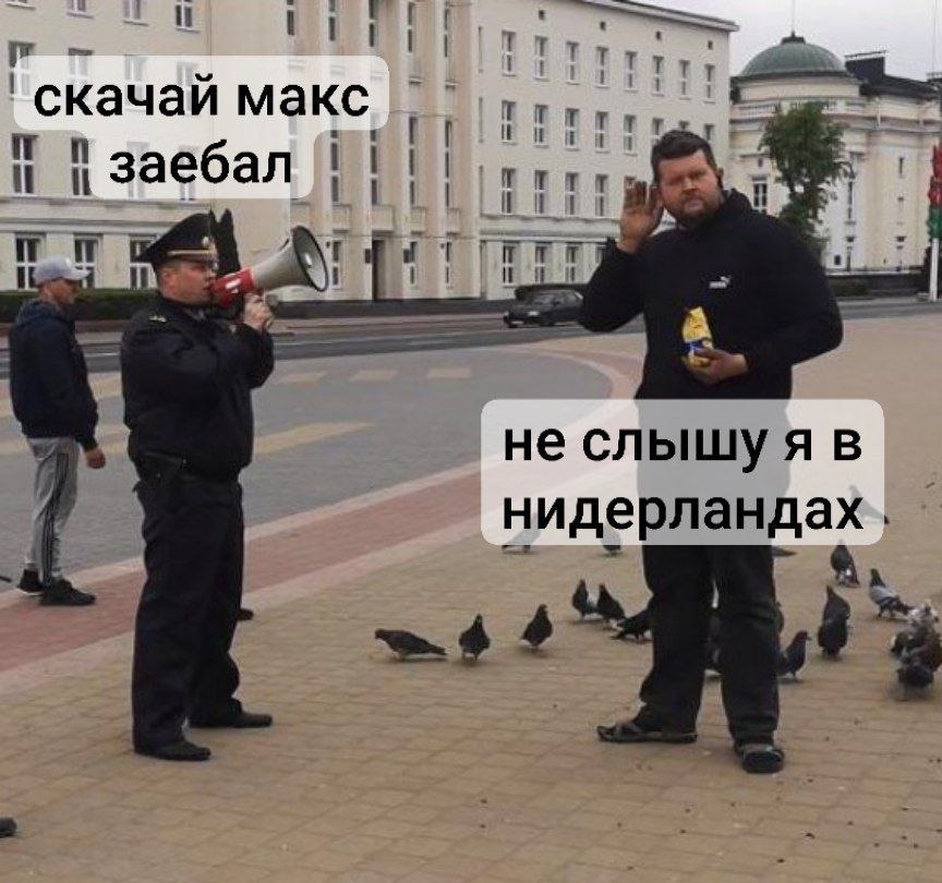 Последний гусь tweet media