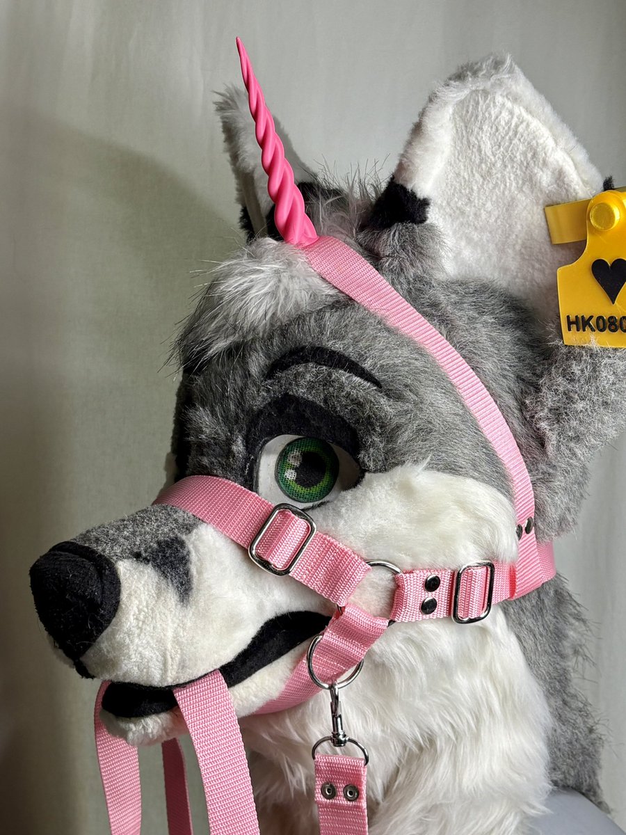kitsukoShopFR's tweet photo. FOR SALE !! 
Unicorn halter 🩷🦄✨55€ shipping not included 

Collab with: @HFursuitFabric 

#ponyplay #furryharness #3Dprint #fursuitharness #harness https://t.co/XwiAmU0o7y