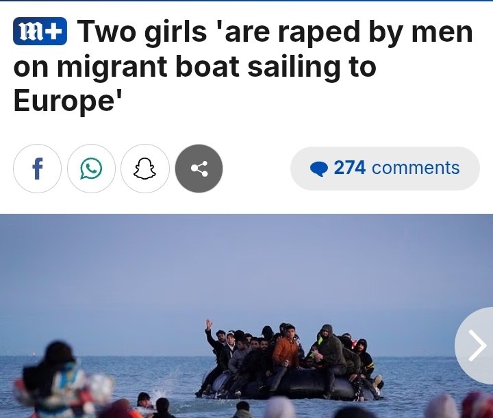ChinchillaSoup🏴 tweet media