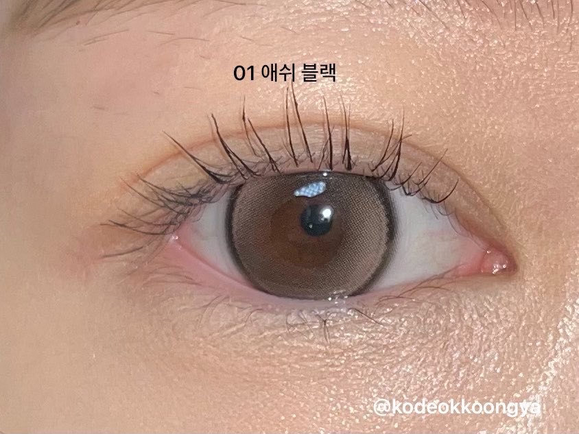 코덕쿵야 tweet media