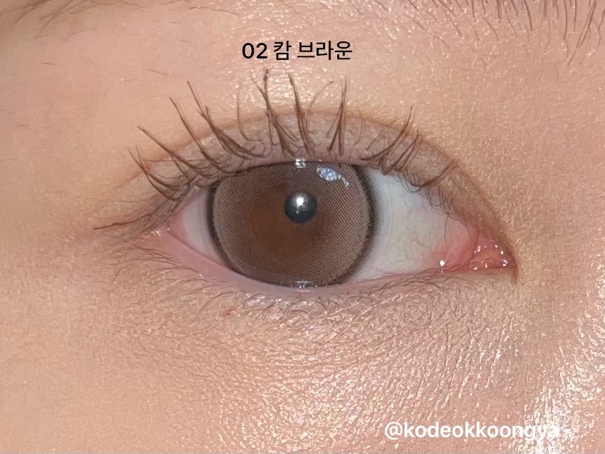 코덕쿵야 tweet media