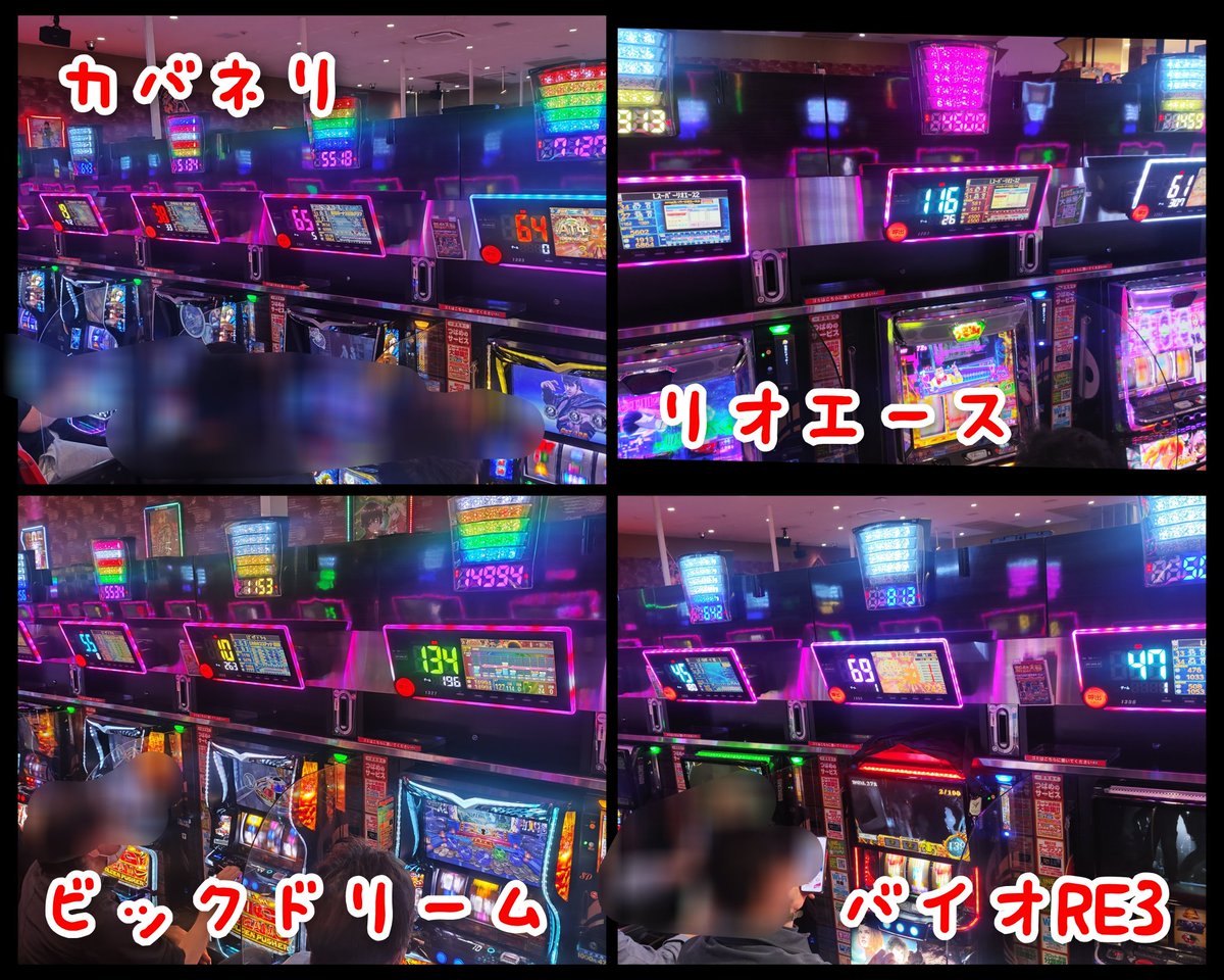 パンダ調査隊@P-GAL tweet media