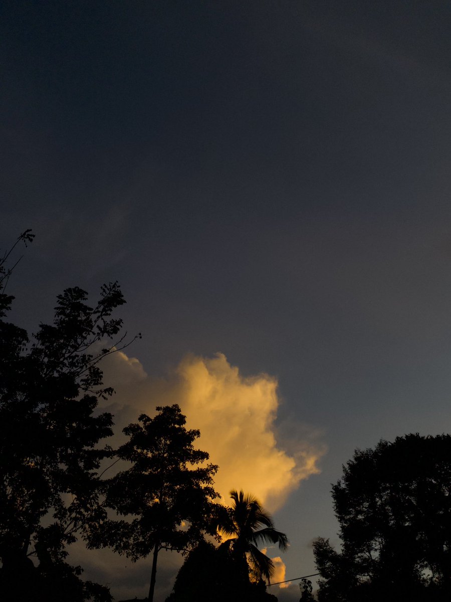 🧸ྀི sheey ⋆。‧˚ʚ🧸ɞ˚‧。⋆ tweet media