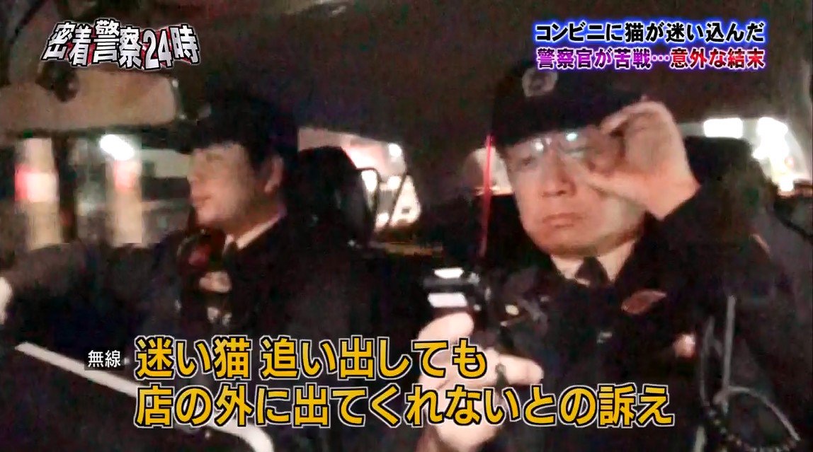 何度でも見たくなる tweet media