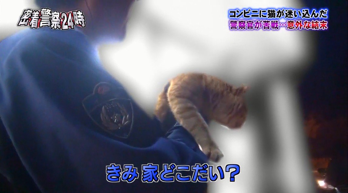 何度でも見たくなる tweet media