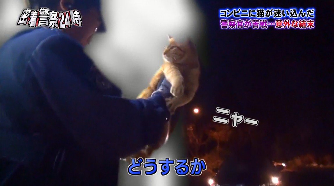 何度でも見たくなる tweet media