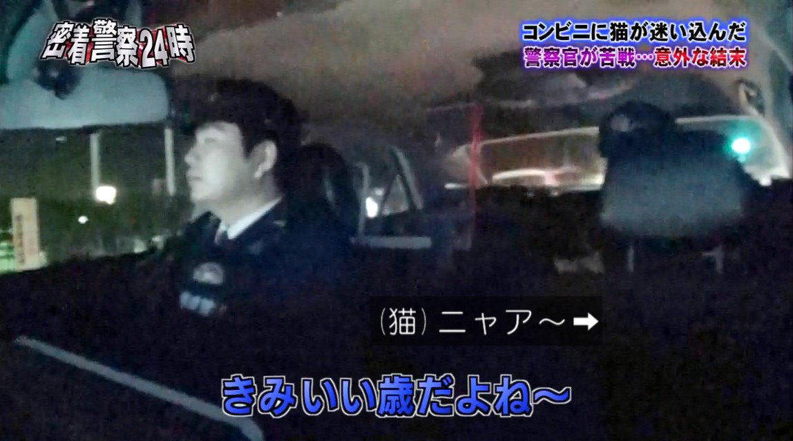 何度でも見たくなる tweet media