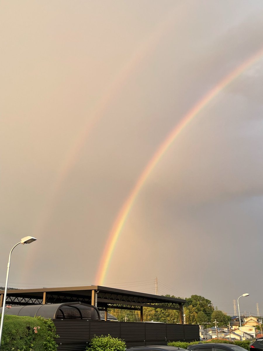 t_MHR_LS's tweet photo. 🌈 https://t.co/9eVCbche1u