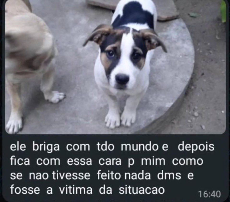 txtdocs's tweet photo. @junleituras KKKKKKKKKKKKKKKKKKKKKKKK nao valho nada p vcs mesmo ne https://t.co/maEy6YBONG