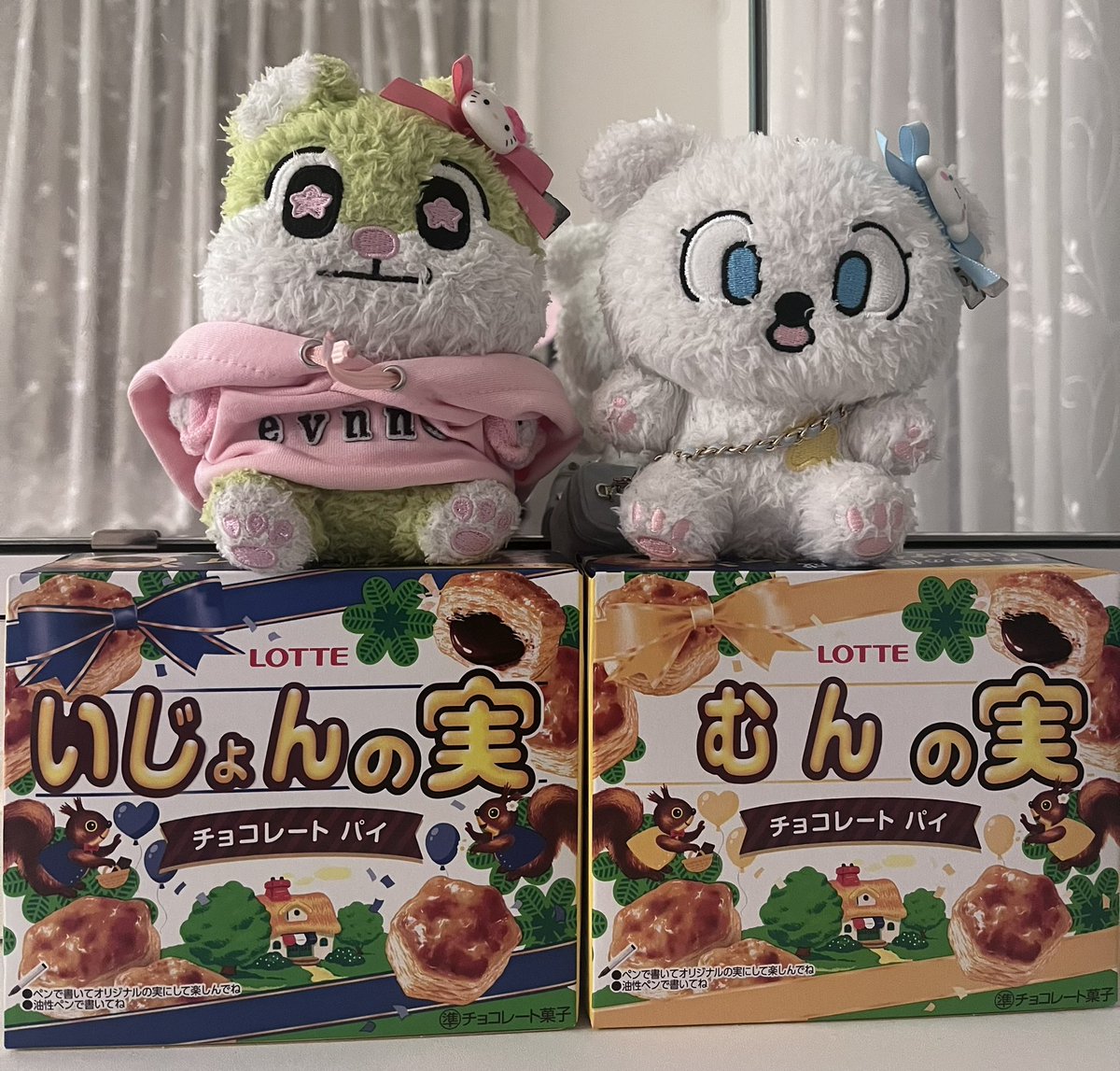 pinity5's tweet photo. 😆💚💜
#EVNNE #이븐 #パイの実 
#ロッテ https://t.co/R3COiP1T3R