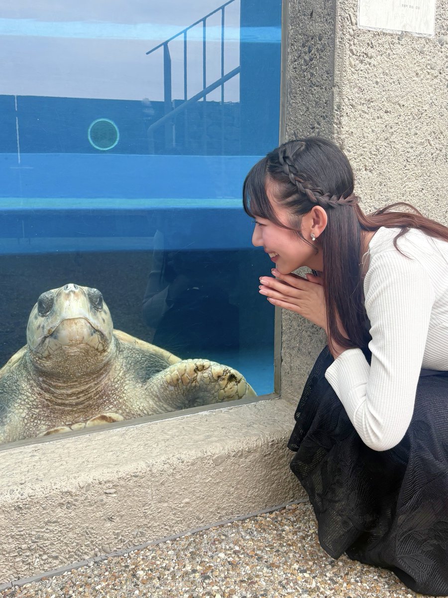 haruko_jrt's tweet photo. 日和佐うみがめ博物館カレッタにて
世界最高齢のウミガメ浜太郎と💙 https://t.co/YPYMmXDt4c