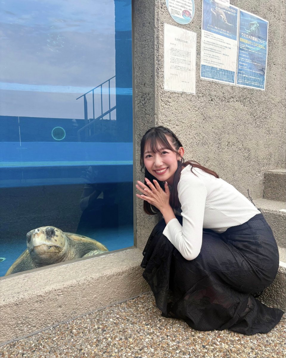 haruko_jrt's tweet photo. 日和佐うみがめ博物館カレッタにて
世界最高齢のウミガメ浜太郎と💙 https://t.co/YPYMmXDt4c