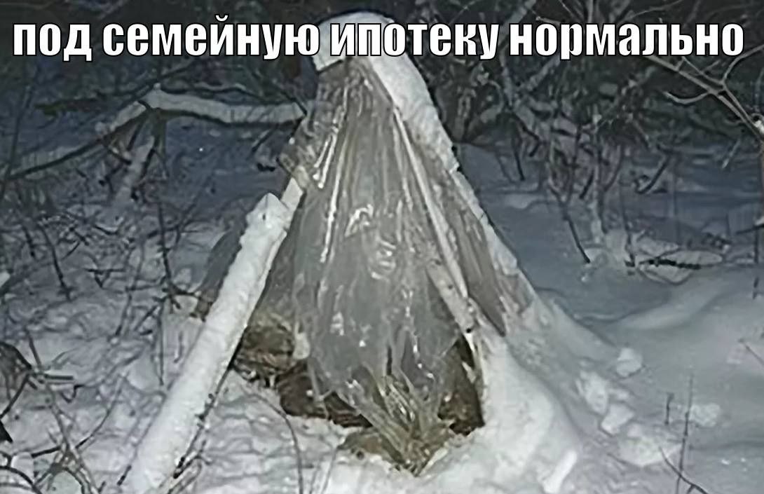 сугарбагет's selected щищьпостинг tweet media