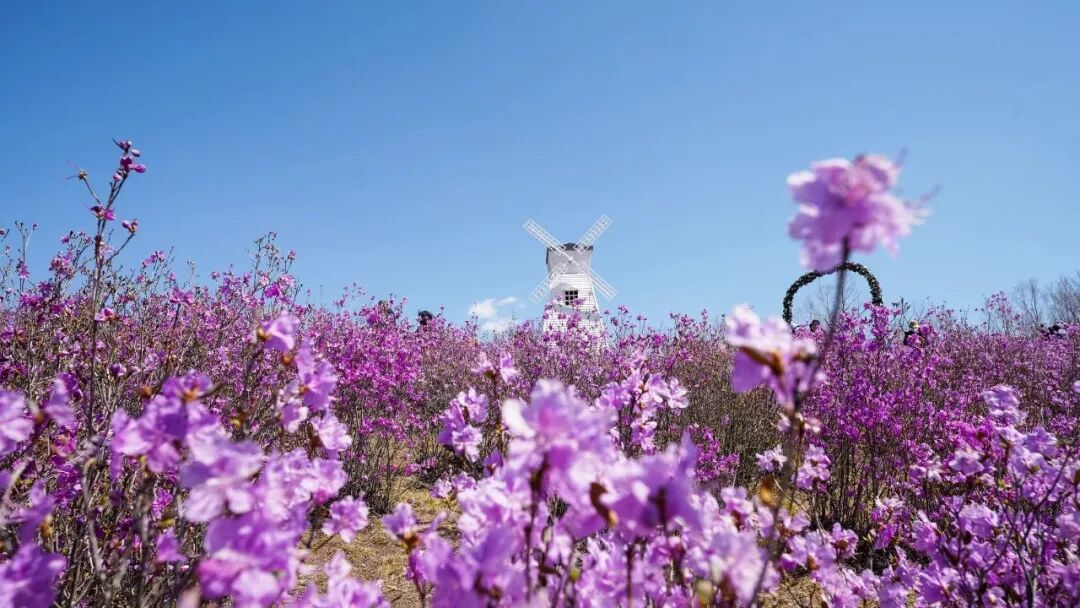 Visit Heilongjiang (@visitheilongji1) / Posts / X