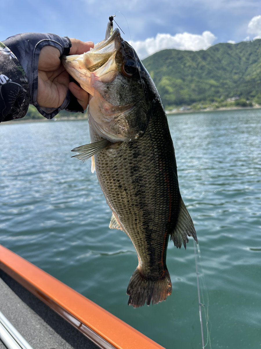 いちたろう＠Vtuberのすがた🎣 tweet media