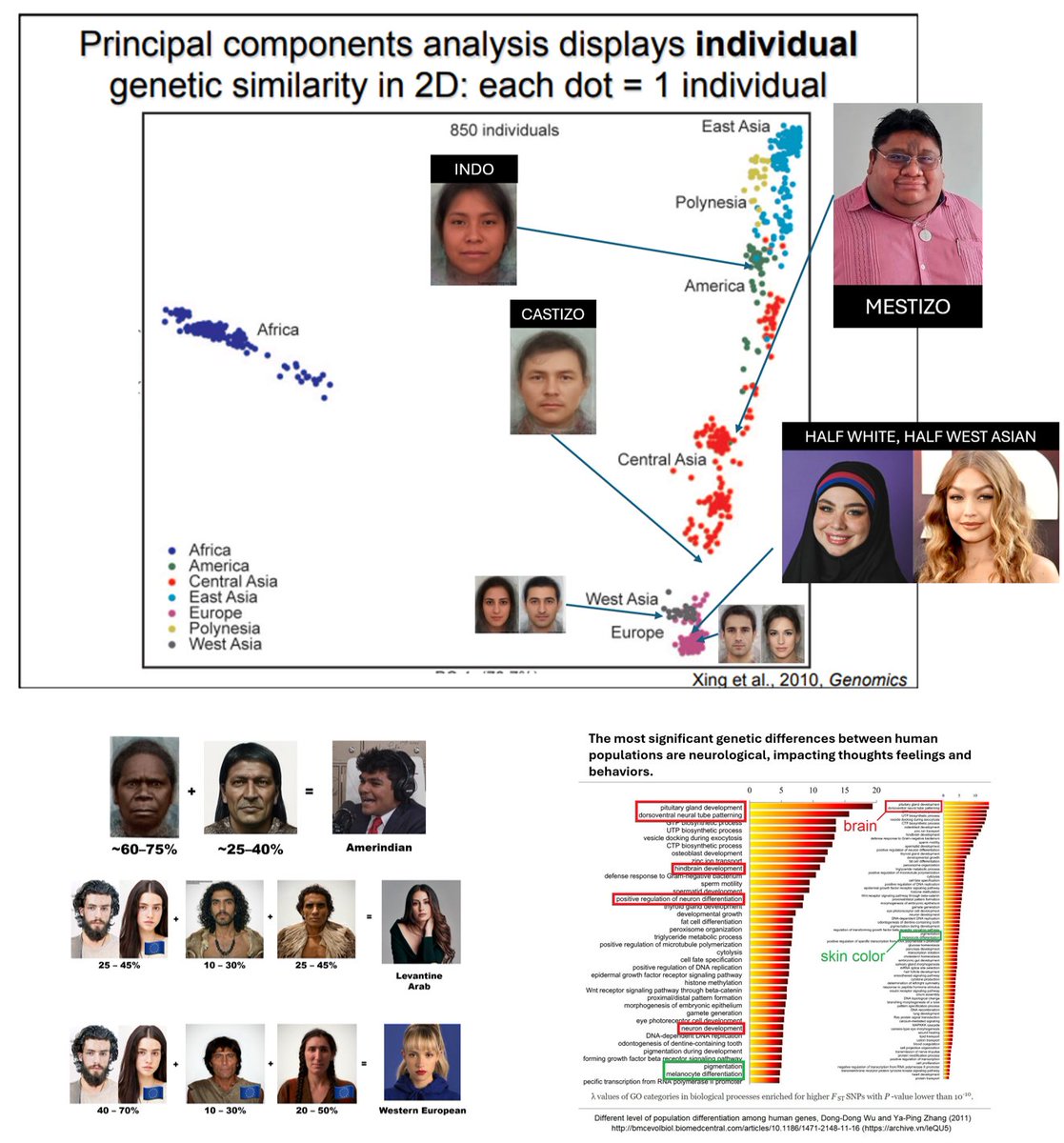 Nick Fuentes 23andme results groyper tweet media