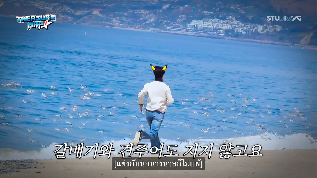 꿀🍯 tweet media