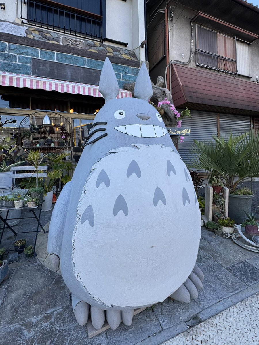 Post by らぴっく rapic on X: となり街のトトロ