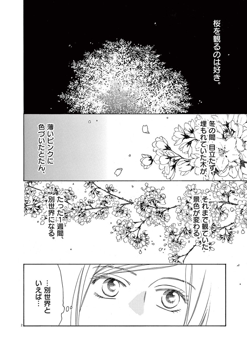 comic_Ima's tweet photo. 先生と初めてのお花見で、ソメイヨシノは子孫を残せない一代限りの種と知った芽衣子。

#コミックアイマ vol.28掲載！！

『#40歳で結婚しました。』vol.19
#瑞樹奈穂

#アラフォー #結婚 #レディコミ #漫画 #デジコレ https://t.co/8SZNoI4NgE
