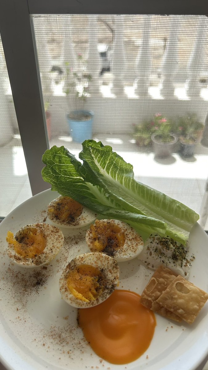 toot_a8's tweet photo. صباح الخير 🧡🌱 https://t.co/GNiI9HhMT7