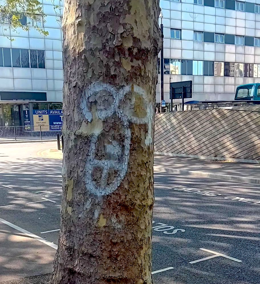 Your Southend tweet media