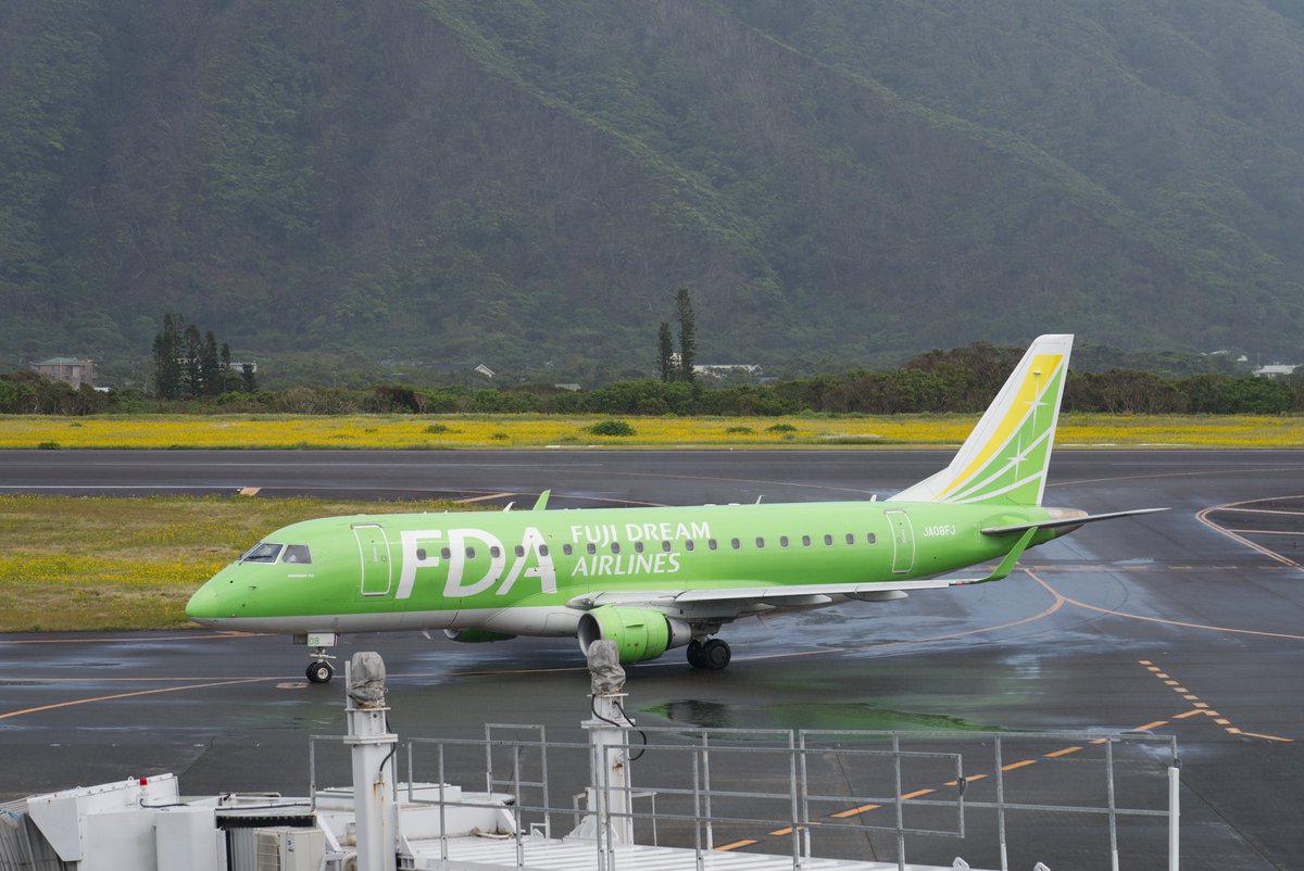 Fumi様 完成確認ページ 今週からFDA八丈島チャーター便がスタート✨ 本日は緑色の機体