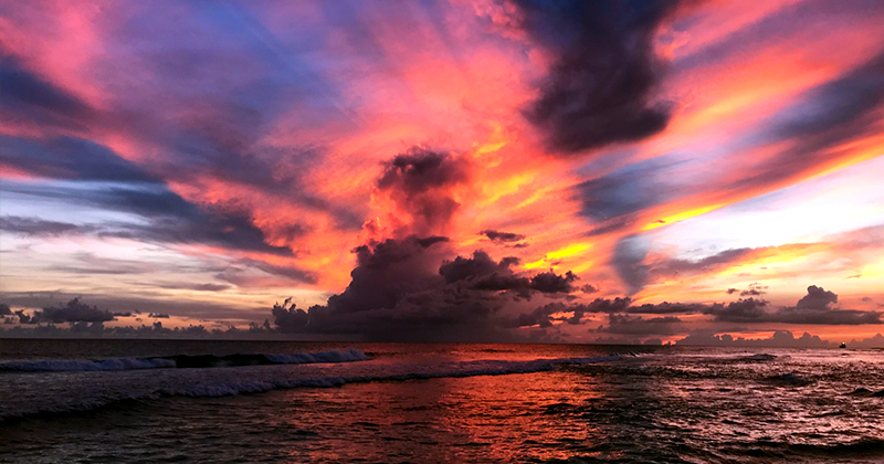 tropicalitytips's tweet photo. Pic of the Night...Striking 💗💜🧡💛💗
https://t.co/3DgdHJtQ7b
#sunsetters #sunsettrip #sunsetsky #beaches https://t.co/GrlDRqk9do