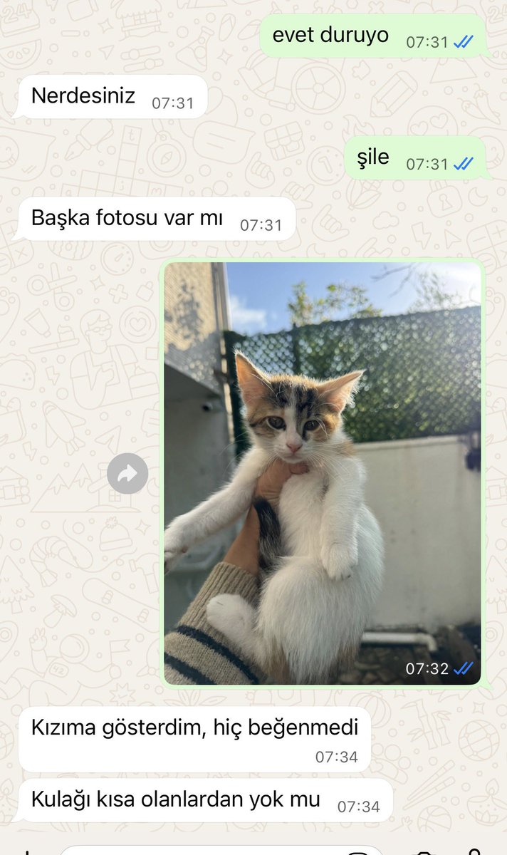 Daktilock tweet media