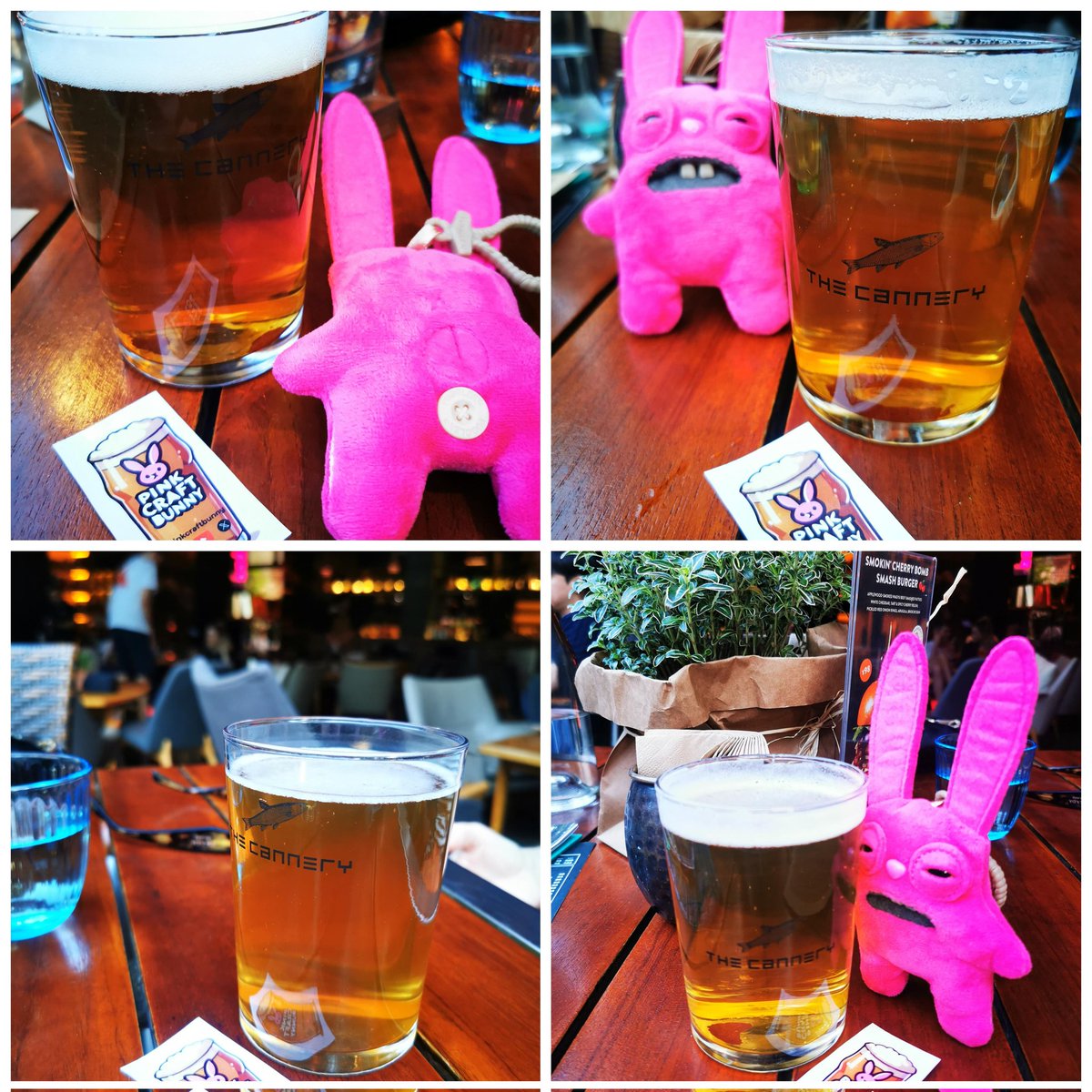 PinkCraftBunny's tweet photo. Shanghai 🇨🇳
The Cannery 🍺
Lutra ✔️
Space Needle ✔️
Hatsu Pick ✔️
Gaudi Cold IPA ✔️
Class restaurant + genuinely strong craft beer selection. Not just an afterthought tap list either… they even run tap takeovers 🍻
Kudos to The Cannery.
#craftbeer #shanghai #pinkcraftbunny https://t.co/S5wVDfZ52N