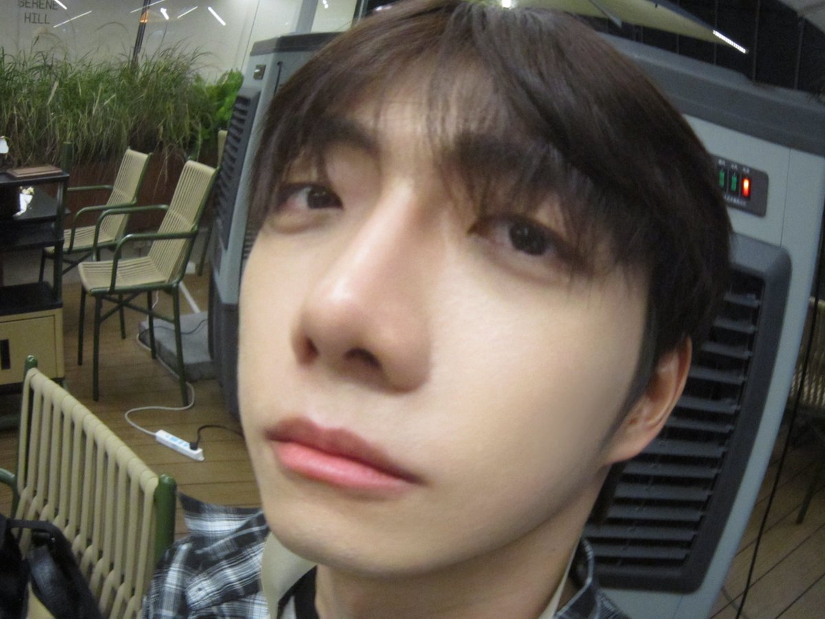 로완 아카이브 tweet media
