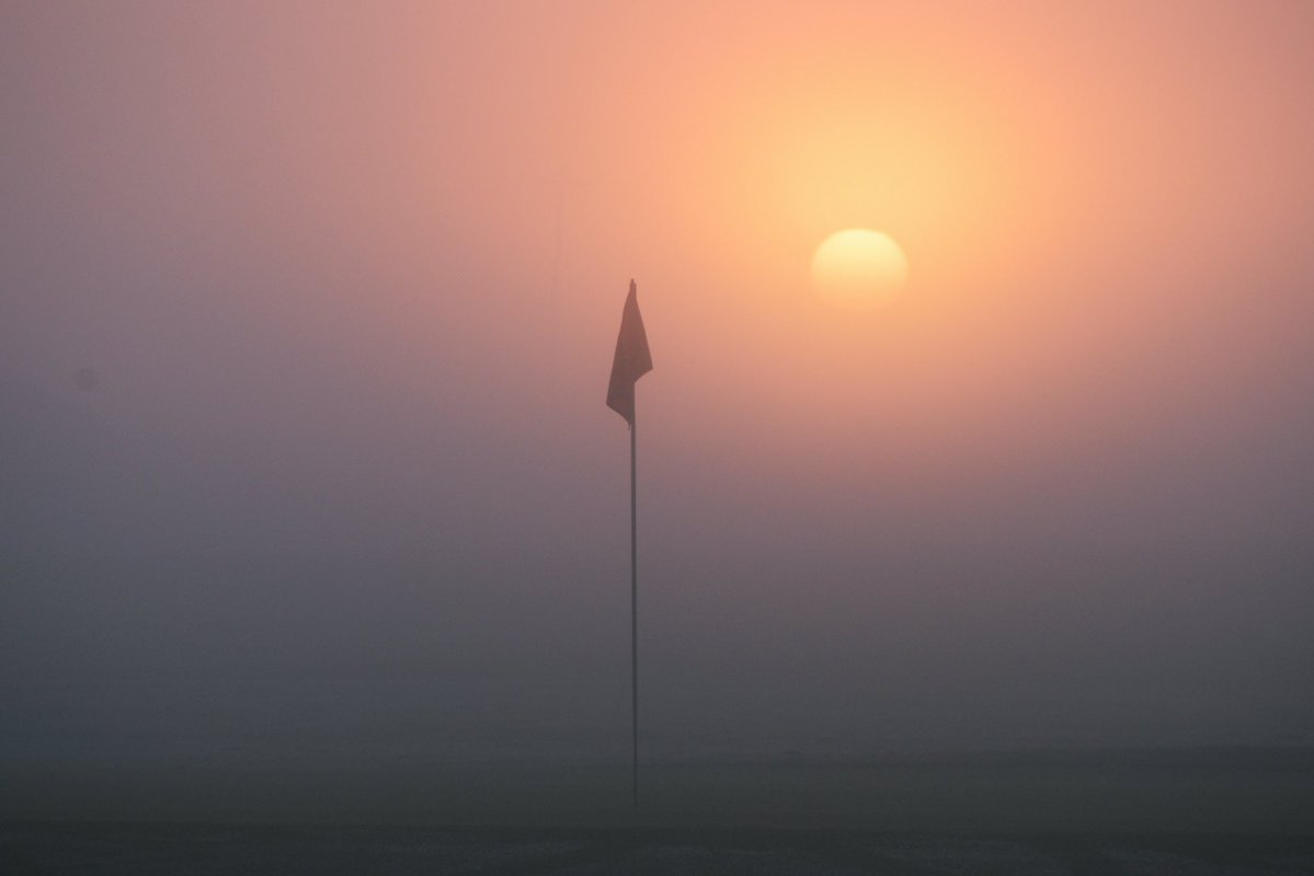Alex Strauch tweet media