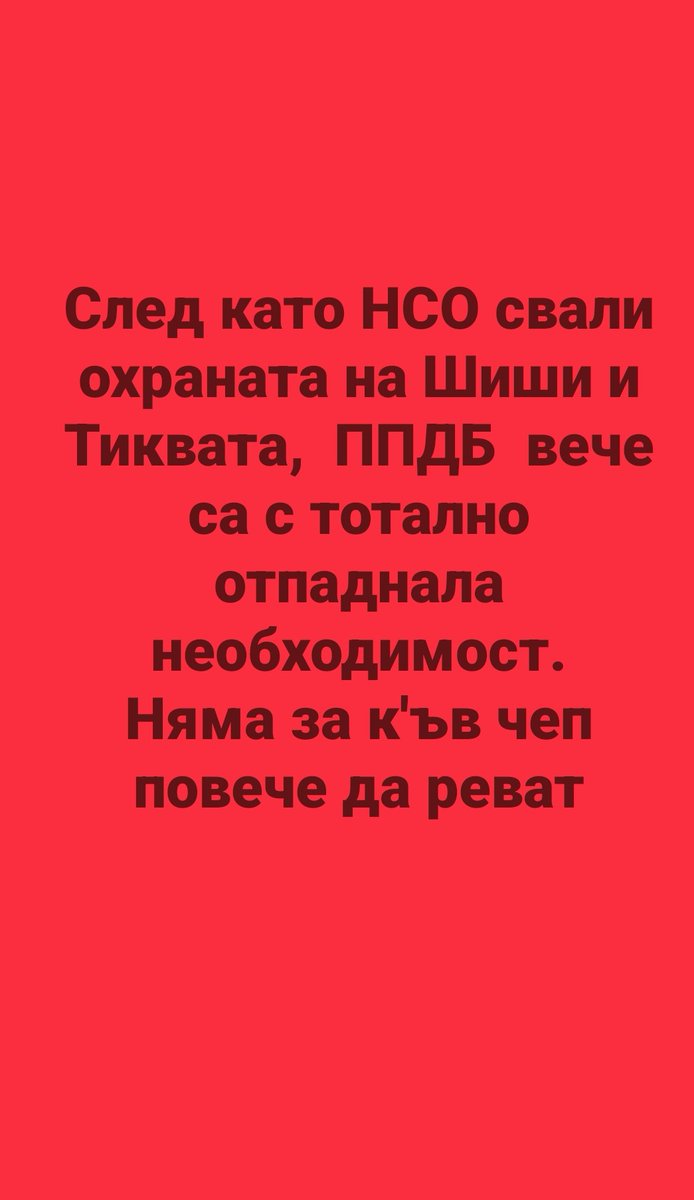 PLAMEN tweet media