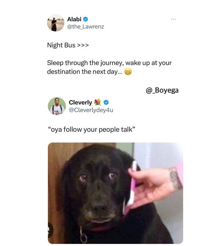 𝑭𝒓𝒆𝒅🦇 tweet media
