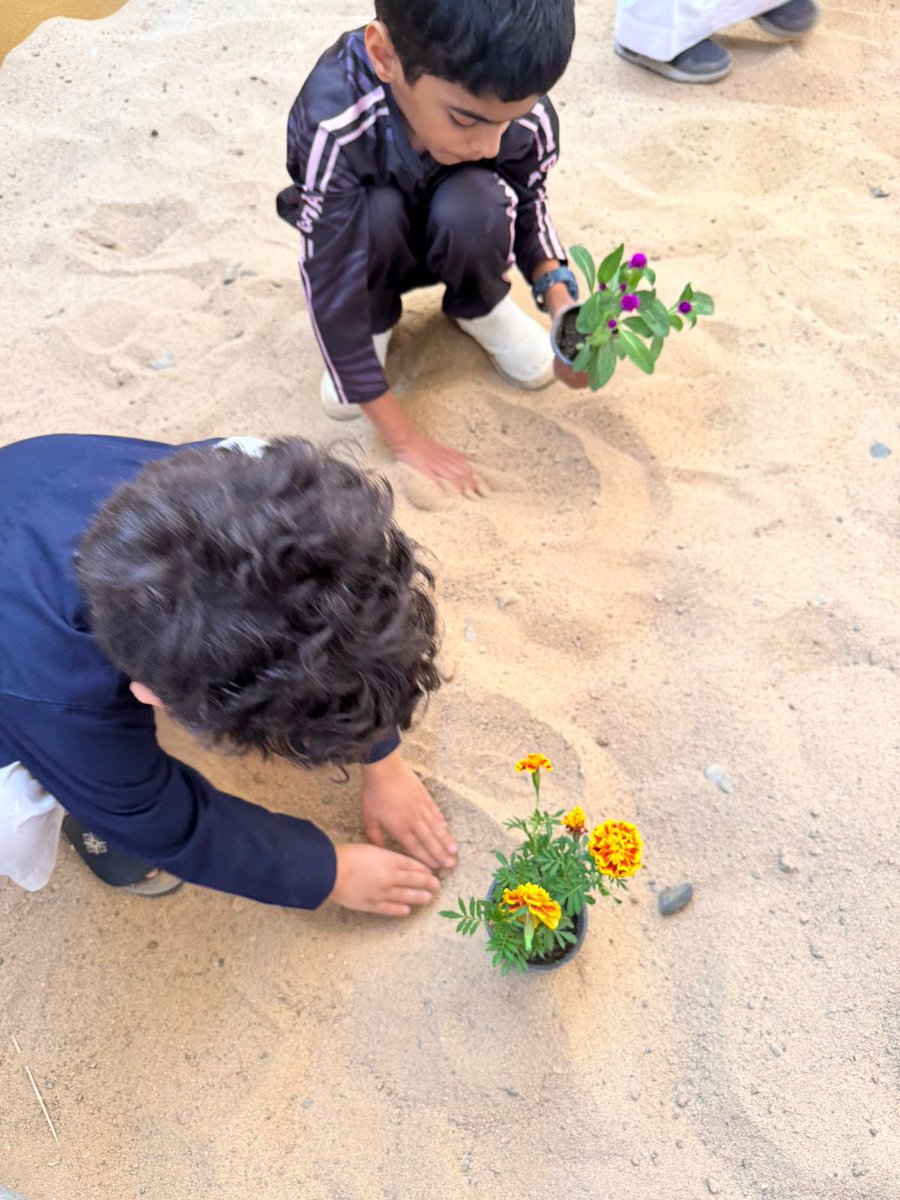 najranenv's tweet photo. بخطوات صغيرة تصنع أثرًا كبيرًا، مشاركة مدرسة التحفيظ الرابعة في مبادرة بيئية بالتعاون مع جمعية نجران الخضراء، بهدف نشر ثقافة العناية بالبيئة وتعزيز السلوكيات الإيجابية تجاه الطبيعة، في بيئة تعليمية تجمع بين القيم والمعرفة والعمل 

نصون البيئة و الاستدامة بثقة  
#بيئتنا_مسؤوليتنا 
#نجران #مبادرات_بيئية #نجران_الخضراء
#السعودية_الخضراء
#البيئة_السعودية
#بيئَتنا_كنز 
 #صندوق_نماء_الوقفي
  #نجران_الآن