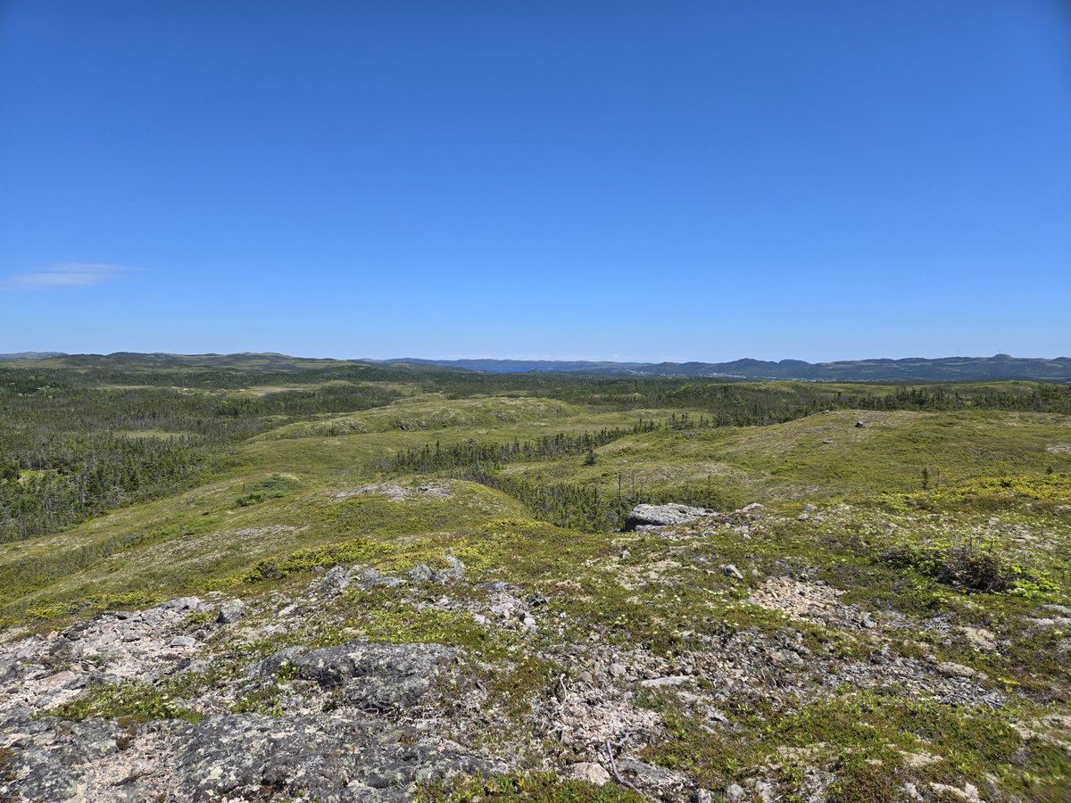 NorthernShield's tweet photo. The Drop Zone at our Root &amp; Cellar property delivered standout surface samples, including up to 45.5 g/t Au, 1,365 g/t Ag, and 700 ppm Te, identified from high‑silver and tellurium‑rich showings 2 km from the Conquest Zone. https://t.co/qOhlvjEKZL
