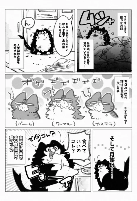 家のねこの話です⑫
この世に好物しか存在してないらしい 