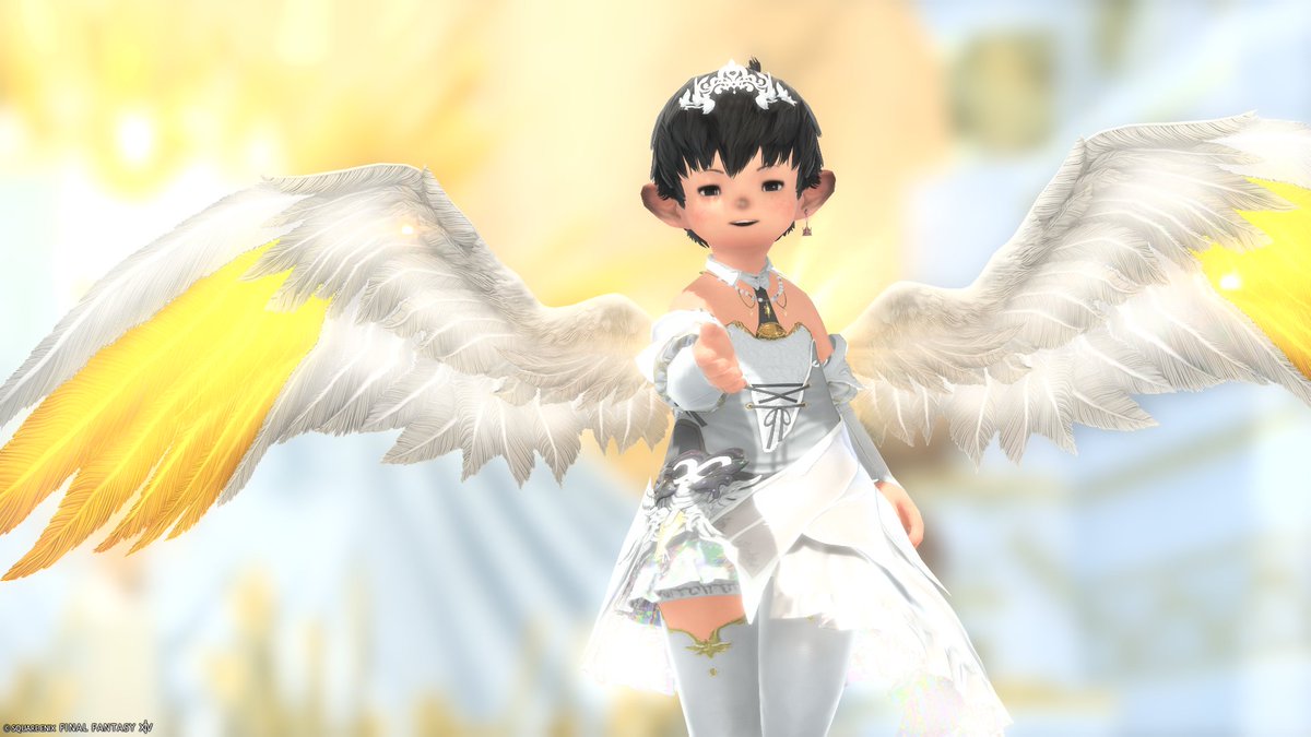 piquechannel's tweet photo. 6枚羽、とれたぞ！ #FF14 https://t.co/iZS0szmpRE