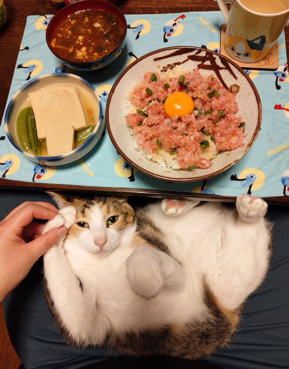 にこちゃまちゃんぬる tweet media